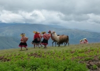 Cuyuni: The best place to experiential tourism in Cusco