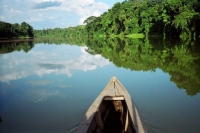 Documental del Paque Nacional del Manu