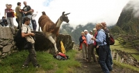 Facts to make tourism in Cusco 