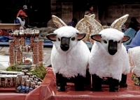 Santurantikuy: Christmas andean fair in Cusco City