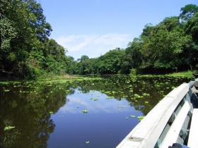 Tambopata: National treasure in Perú